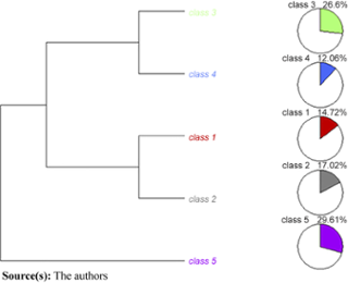 Dendrogram of the interview classification segments based on field research data
