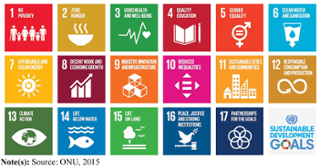 The Sustainable Development Goals