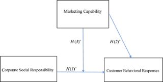 Conceptual framework
