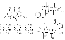 Oxantronas C-glicosiladas