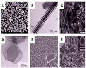 Microscopías de barrido (SEM) y de transmisión (TEM) de diferentes
materiales 2-D. A) Nanoislas contiguas, B) nanoramas, C) nanoplatos, D)
nanohojas, E) nanoparedes, F) nanodiscos (Jitendra et al., 2012)