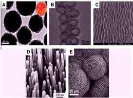 Microscopías de barrido (SEM) y de transmisión (TEM) de diferentes
materiales 3-D. A) Nanobolas (con estructuras dendríticas), B) nanobobinas, C)
nanoconos, D) nanopilas, E) nanoflores (Jitendra et al., 2012)
