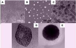 Microscopías de barrido (SEM) y de transmisión (TEM) de diferentes
materiales 0-D. A) Puntos cuánticos, B) arreglo de nanopartículas, C)
nanopartículas "core-shell", D) nanocubos huecos, E) nanoesferas (Jitendra et al., 2012)