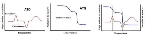 Curvas típicas del Análisis Térmico
Diferencial, ATD y Análisis Térmico Gravimétrico, ATG de minerales arcillosos