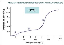 Curvas típicas del Análisis Térmico Diferencial, ATD y Análisis Térmico
Gravimétrico, ATG de una arcilla venezolana