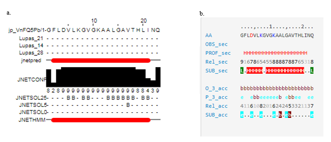  Estructura secundaria de CZS-16. a. Predicción obtenida por JPred 4. b. Predicción obtenida por Predictprotein 

 