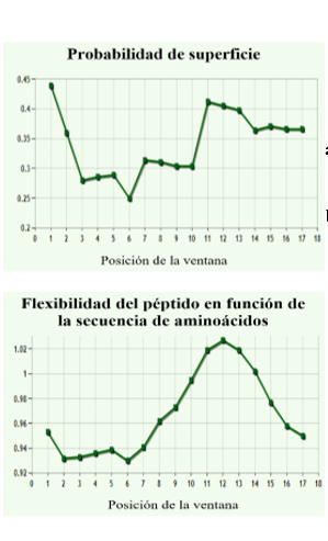 Propiedades
fisicoquímicas 

de la Cruzioseptina CC-17 a. Probabilidad de superficie b.
Flexibilidad del péptido en función de la secuencia de aminoácidos
