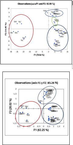 PCA and Factorial
analysis obtained from the sensing results of the wines using the electronic
nose made up of the sensors: SnO2-Z, 0.1% Pd/SnO2-Z and
0.2% Pd/SnO2-Z