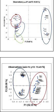PCA and Factorial
analysis obtained from the sensing results of the wines using the electronic
nose made up of the sensors: SnO2-Z, 0.1% Pt/SnO2-Z, 0.2%
Pt/SnO2-Z, 0.3% Pt /SnO2 -Z and 0.5% Pt/SnO2-Z