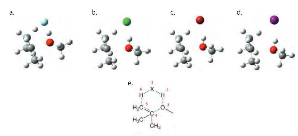 Transition
state structures of the gas decomposition of t-butyl methyl ether catalyzed by HF
(a), HCl (b), HBr (c), HI (d). e. Transition state scheme with atom labeling