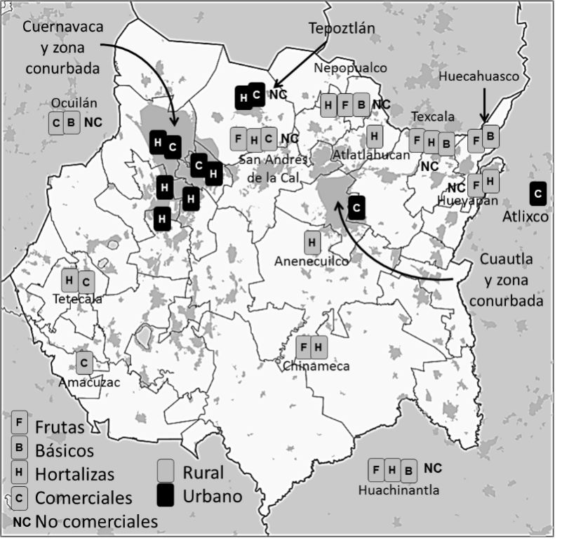 Distribución de las unidades de producción y tipo de cultivos de
agricultores del MVM en Morelos y zonas aledañas