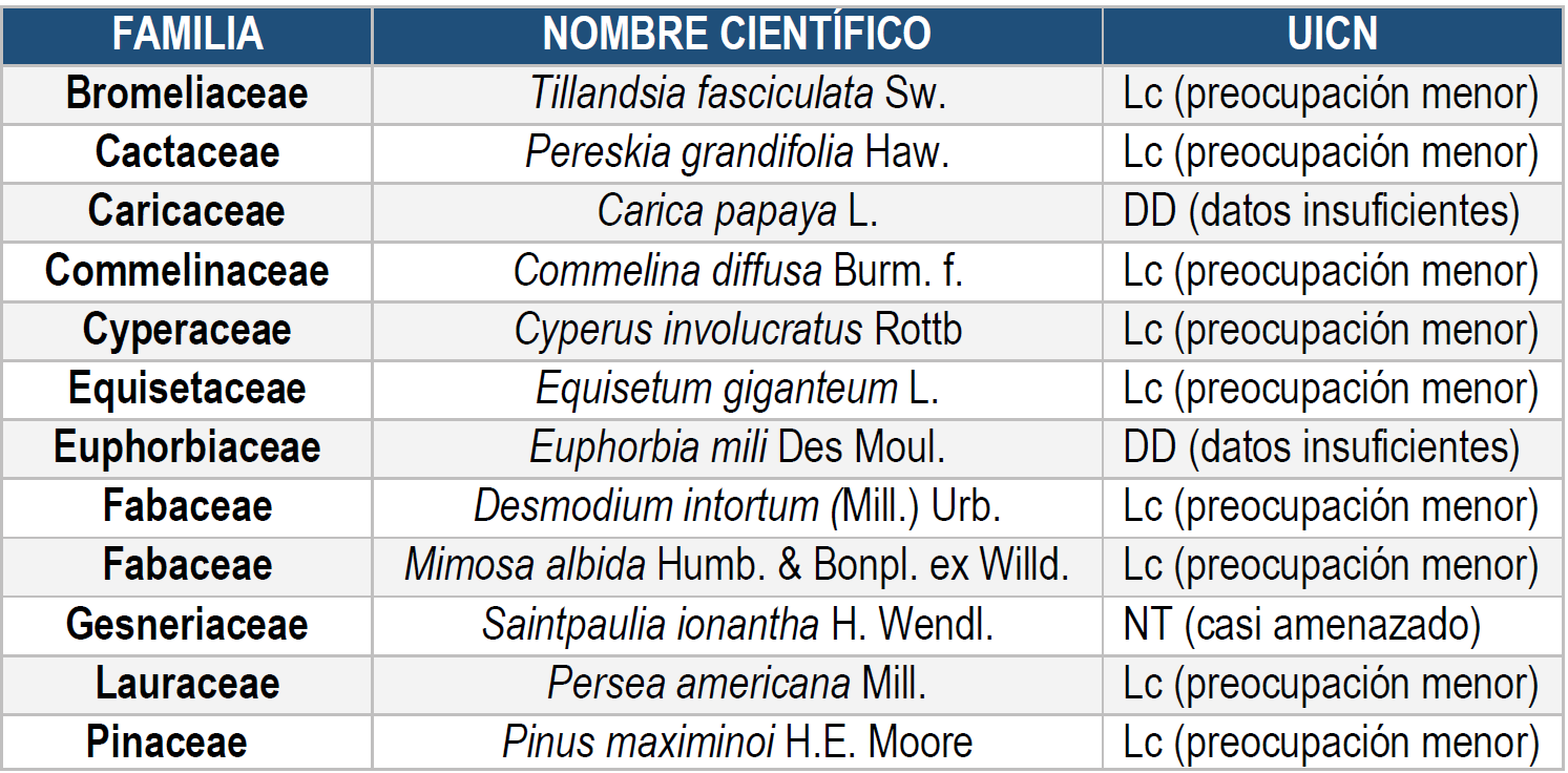 Especies
encontradas en el Centro de Interpretación Felipe II, presentes en la lista
roja de UICN.