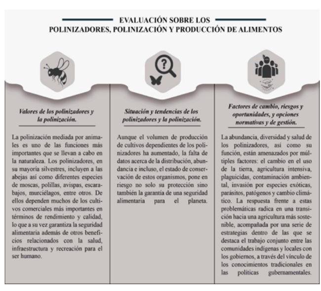 Mensajes principales de la Evaluación sobre polinizadores, polinización y producción de alimentos