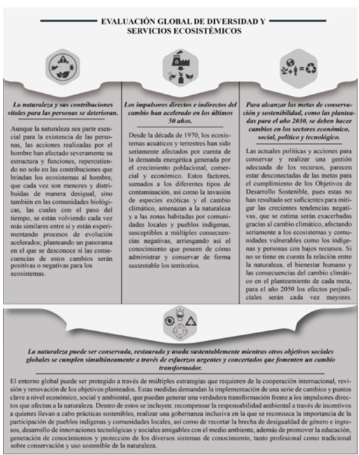 Mensajes principales de la Evaluación global de diversidad y servicios ecosistémicos