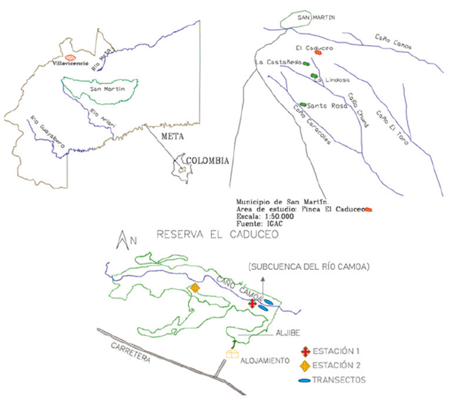 Área de estudio: Reserva Natural el Caduceo, Municipio de San Martín, Meta,Colombia. Se señalan las dos estaciones de muestreo y los transectos marcados
