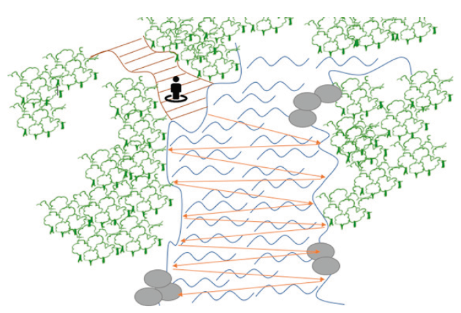 Recorrido extensivo directo en zigzag de la estación 1: zona alta de la subcuenca del río Camoa