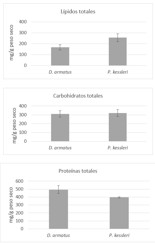 Contenido de lípidos, carbohidratos y
proteínas en D. armatus y P. kessleri cultivadas bajo condiciones
óptimas