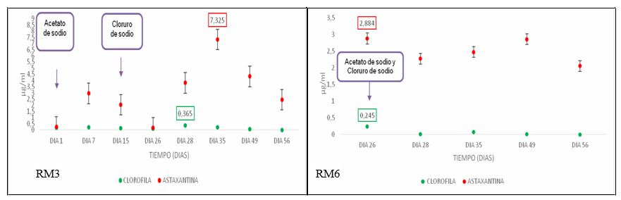 Concentración de clorofila (verde) y astaxantina (rojo) T. RM3 (acetato de sodio 1,6 g/L
+ cloruro de sodio 6,4 g/L) y T. RM6 (acetato de sodio 0,320 g/L + Cloruro de sodio 1,28 g/L)