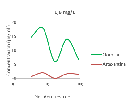 Concentraciones de clorofila y astaxantina durante el montaje de 1,6 mg/L