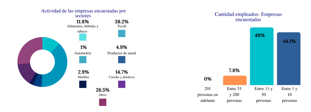 Actividad y cantidad de empleados de
las empresas encuestadas
