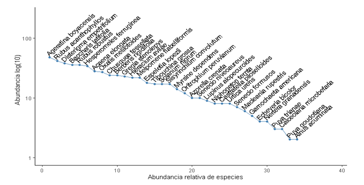 Figura 2. Abundancia de flora del lugar donde
se ubican los sistemas productivos