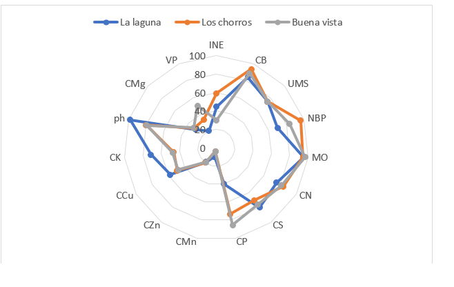 Figura 5. Índices de la
dimensión económica: contenido de S (cs),
contenido de Zn (czn), ingreso
neto (ine), materia orgánica (mo), número de bultos producidos/ha de
terreno (nbp), pH del suelo (ph),
uso de método para seleccionar la semilla (ums),
variedad de precios en las ventas (vp),
cantidad de bultos en buen estado/total de bultos producidos (cb), contenido de Cu (ccu), contenido de K (ck), contenido de Mg (cmg), contenido de Mn (cmn), contenido de N (cn), contenido de P (cp).