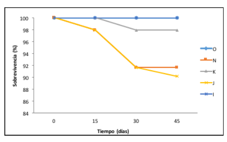 Sobrevivencia (%) de los fragmentos de A. cervicornis:n = 12 (morfotipo O); n = 12 (morfotipo N); n = 12 (morfotipo K);n = 12 (morfotipo J); n =1 2 (morfotipo I)