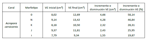 Volumen ecológico (ve) de los fragmentos de los morfotipos de A. cervicornis (ve inicial, ve final y ve incremento o disminución %)