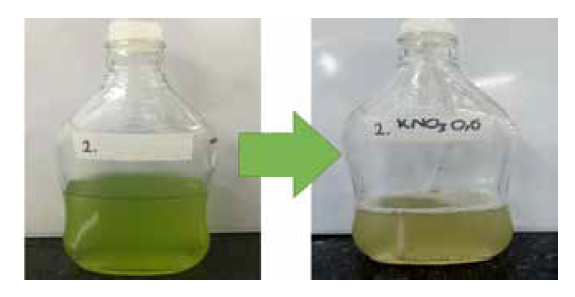 Viraje de coloración KNO3 a 0,6M pre-experimento