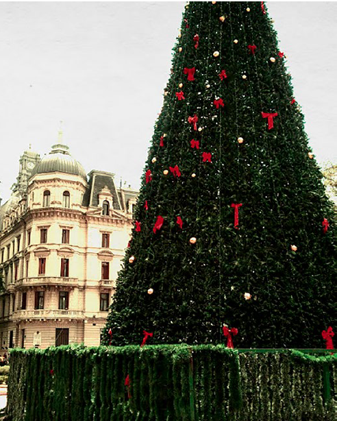 Imagen del árbol de Navidad que el gobierno de la Ciudad de Buenos Aires instalaba todos los años en la Plaza de Mayo frente a la Casa Rosada