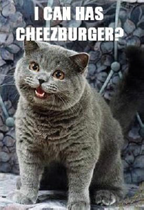 The Happy cat (2007)