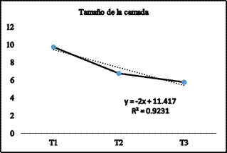 Tamaño de la Camada