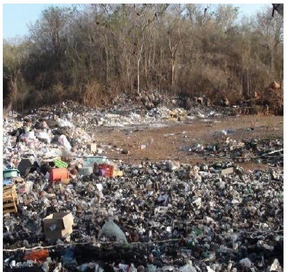 Contaminación ambiental debido al manejo inadecuado de la basura