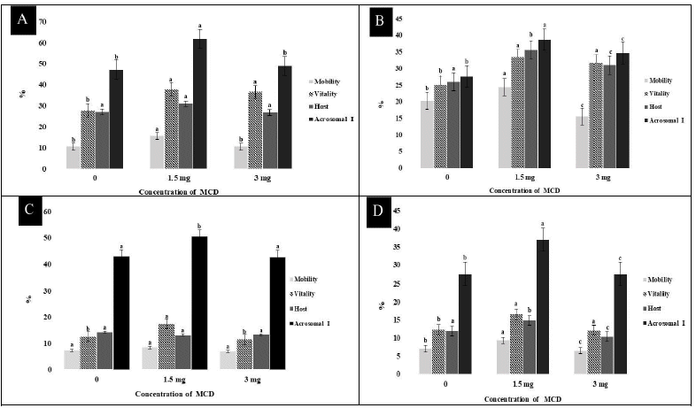 Effect of the addition of cholesterol loaded with
0, 1.5 and 3 mg of methyl-β-cyclodextrin (MCD) in cryopreserved alpaca sperm.
(A) Refrigerated PC method; (B) cooled DCD method; (C) Thawed PC method and (D)
Thawed DCD method