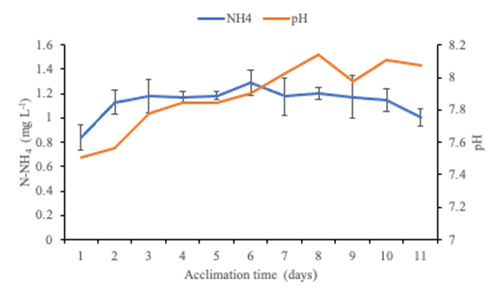 Variations of ammonium concentration in water during 11 days of
acclimation of L. vannamei PL.