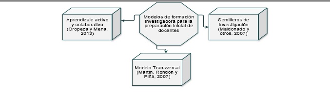  Modelos de formaci&oacute;n investigadora para la preparaci&oacute;n inicial de docentes