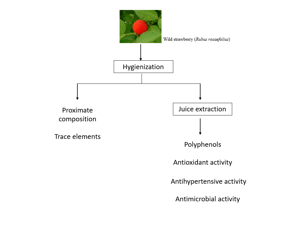 Flowchart of experiments for
strawberry analysis.