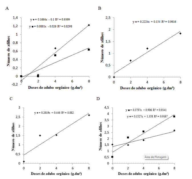 Valores médios de número de afilhos por planta de
trigo, cultivares ORS 1403 (♦) e Tbio Sossego (■), em
função de diferentes doses de adubo orgânico por vaso, aos 28 (A) e 49 (D) DAS.
Aos 35 (B), 42 (C) para essas análises as cultivares apresentaram médias
iguais, portanto foi indicado apenas uma reta, ORS 1403 e Tbio
Sossego (♦).