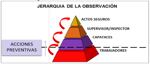 Jerarquía de la Observación, 2020