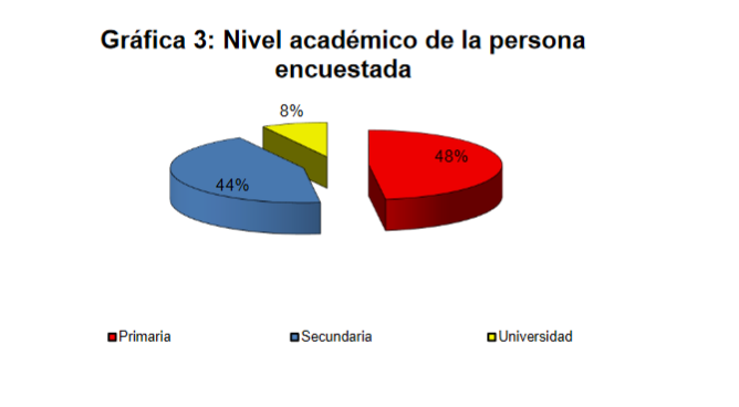 Nivel acad&eacute;mico de la persona 

encuestada