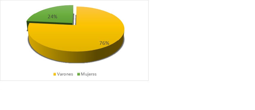 Datos porcentuales del estilo de
aprendizaje visual-verbal