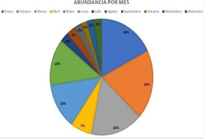  Se aprecia que la mayor abundancia se obtuvo en el mes de febrero
(19%), seguido por el mes de enero (18%)