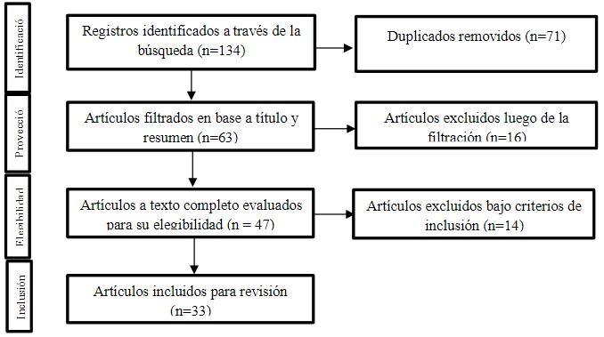 Diagrama de flujo sobre la búsqueda sistemática