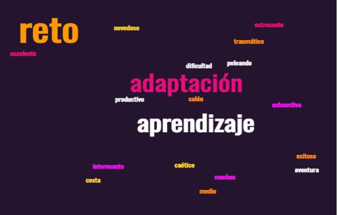 Experiencias docentes durante el primer semestre 2020