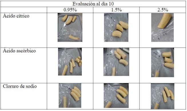 Aspectos ilustrativos del color que
muestra el plátano verde con los diferentes tratamientos a diferentes intervalos de conservación.