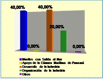 Según su opinión, ¿Cuál es la mayor dificultad que enfrenta el sector
marítimo auxiliar en la actualidad?

 