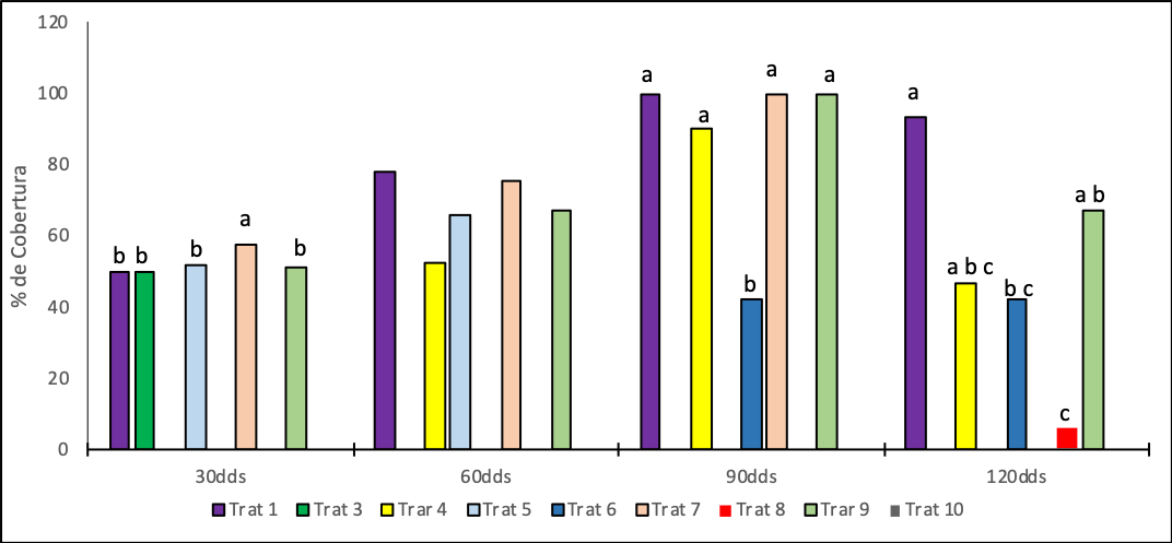   Porcentaje  de  cobertura  de  las  malezas  en  cada  tratamiento  durante  los  diferentes  tiempos  de  evaluaci&oacute;n.  Siendo Trat1 (Sin control todo el ciclo del cultivo); Trat3 (Sin control hasta los 30 d&iacute;as despu&eacute;s de la siembra dds); Trat4 (Con control hasta los 30 dds); Trat5 (Sin control hasta los 60 dds); Trat6 (Con control hasta los 60 dds); Trat7 (Sin con-trol  hasta  los  90  dds);  Trat8  (Con  control  hasta  los  90  dds);  Trat9  (Sin  control  hasta  los  120  dds);  Trat10  (Con  control  hasta  los  120  dds).  Barras  con  igual  letra  en  el  mismo  tiempo  de  evaluaci&oacute;n  no  difieren  estad&iacute;sticamente  (P<0,05).     