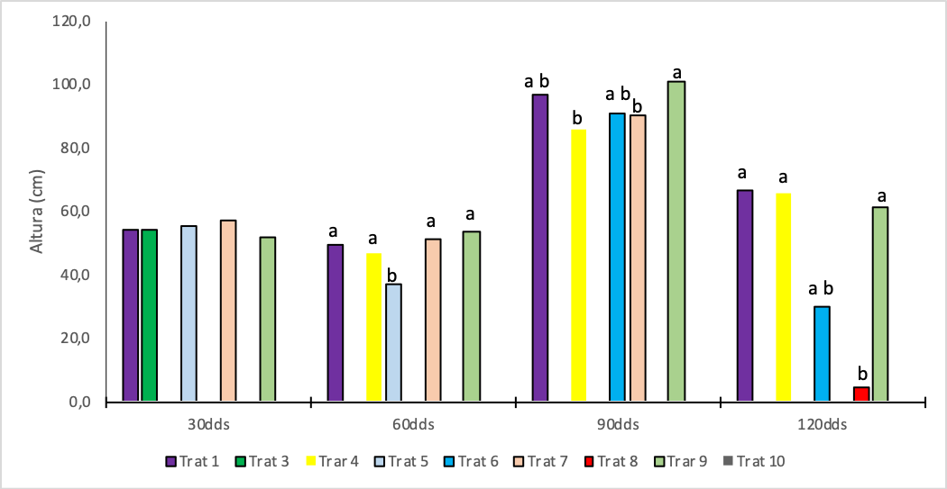 Altura promedio de las malezas en cada tratamiento durante los diferentes tiempos de evaluaci&oacute;n, Siendo Trat1 (Sin control todo el ciclo del cultivo); Trat3 (Sin control hasta los 30 d&iacute;as despu&eacute;s de la siembra dds); Trat4 (Con control hasta los 30 dds); Trat5 (Sin control hasta los 60 dds); Trat6 (Con control hasta los 60 dds); Trat7 (Sin control hasta los 90 dds); Trat8 (Con control hasta los 90 dds); Trat9 (Sin control hasta los 120 dds); Trat10 (Con control hasta los 120 dds).. Barras con igual letra en el mismo tiempo de evaluaci&oacute;n no difieren estad&iacute;sticamente (P<0,05). 