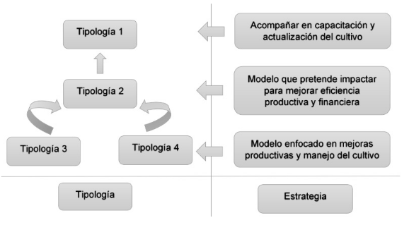 Estrategias para mejorar la tipología del
productor de plátano en los Llanos Orientales. 
