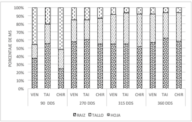 Distribución   porcentual   de   acumulación  de  materia  seca  por  órganos  de  la  planta  de  yuca  (Manihot  esculenta  Crantz),  a  los  90,  270,  315  y  360  DDS  en  Bosque  seco  Tropical  del  departamento  de  Sucre  –  Colombia.  2016.  . 